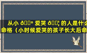 从小 🐺 爱哭 🐦 的人是什么命格（小时候爱哭的孩子长大后命运如何）